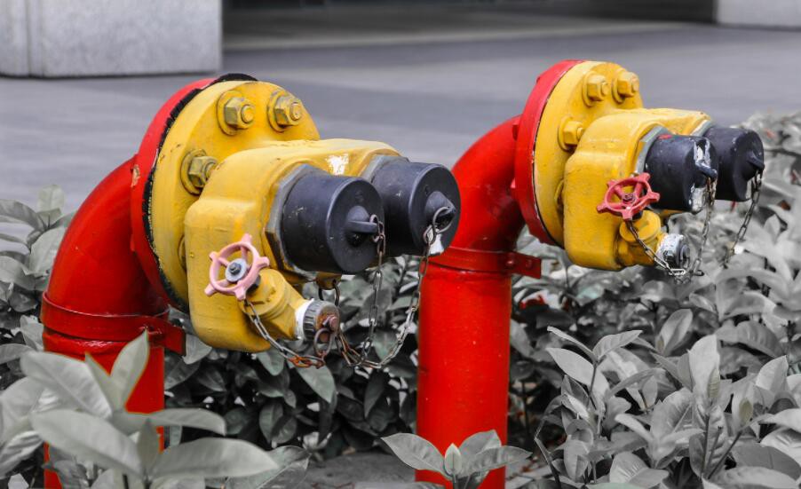 QQ20241106142528 QQ20241106142528